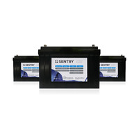 Sentry Lithium Ion Batteries