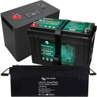 Drop In Replacement 12V/24V Lithium Batteries