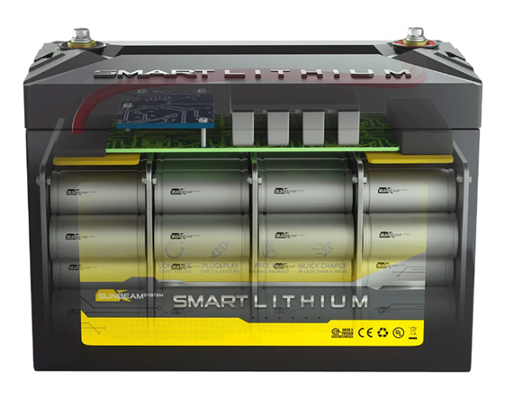 Typical internal arrangement for a Lithium Battery