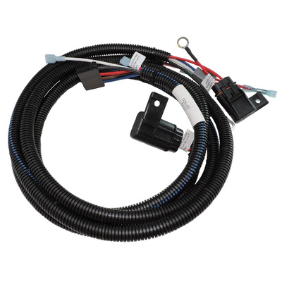 Balmar Wiring Harness, 96 Series, 48v, 12v Supply