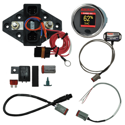 Balmar Battery Monitor Kit, 12V-48V, N2K, BT Gateway, Color Display
