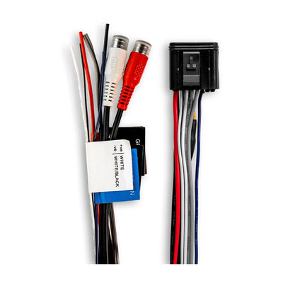 Fusion® Apollo Zone Amplifier Wiring Loom
