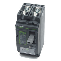 Noark Ex9MD1B TM DC125 2P - 125A 500V DC Circuit Breaker 2 Pole