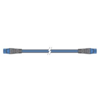 Raymarine Backbone Cable 20m