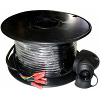 Raymarine 30m Mast Cable &amp; Connector