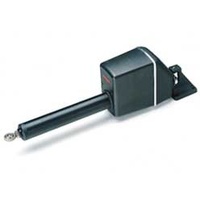 Raymarine Type 2/24v Short Shaft Linear Drive