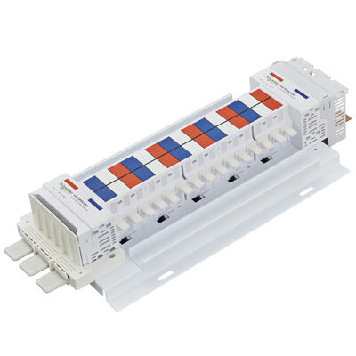 Schneider Electric Insulated Busbar Chassis 250A MCB 30 Pole