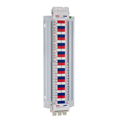 Schneider Electric Insulated Busbar Chassis 250A MCB 60 Pole