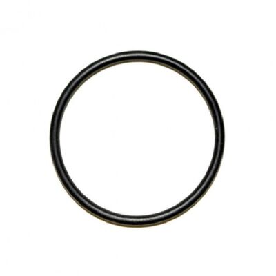 Frigoboat O-Ring Small #29 for Condenser Set Couplings