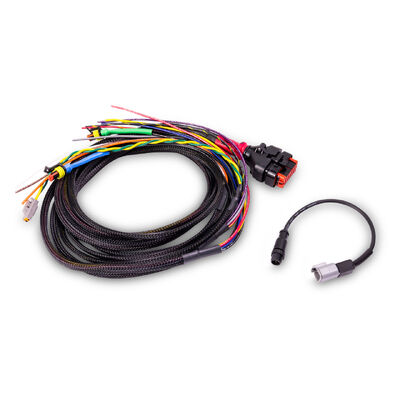 Wakespeed Positive Harness with M12-Style CAN Connector &amp; .3M Temp Sensor (5ft)
