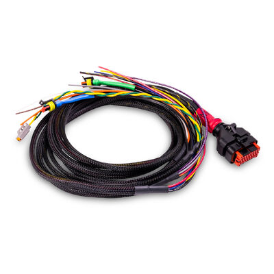 Wakespeed Standard Positive P-Type Harness (5ft)