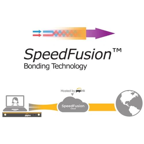 Peplink PepVPN/SpeedFusion 20 Peers License Upgrade (Perpetual)