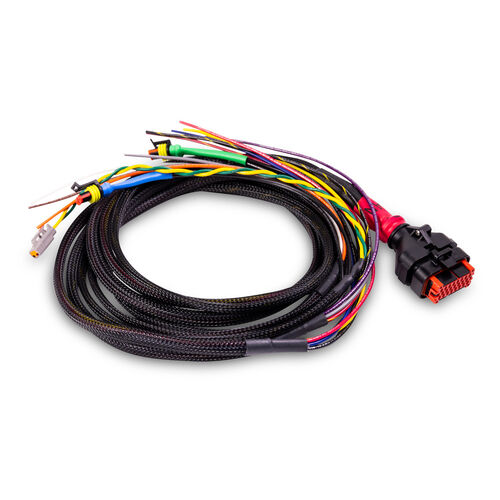 Wakespeed Standard Positive P-Type Harness (5ft)