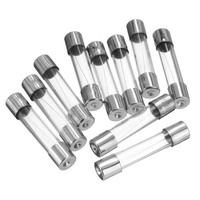Glass Fuses